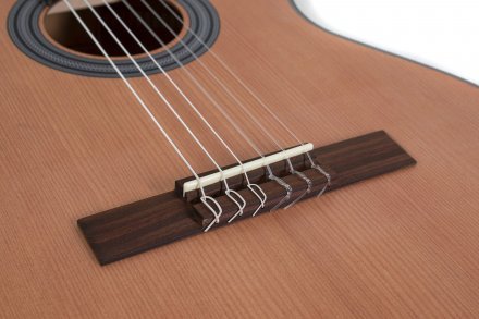 Класична гітара  - Фото №170184