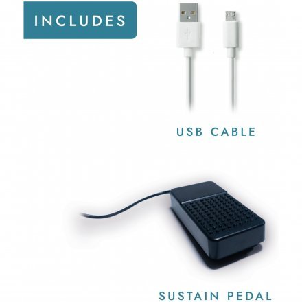 Цифровое пианино  - Фото №173209