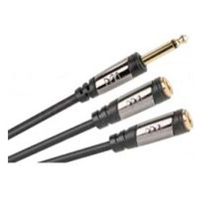 Monster cable MCLM2FM