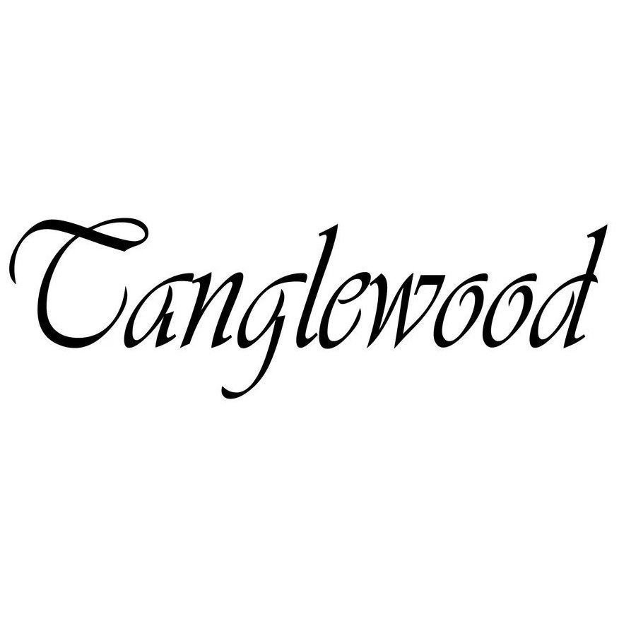 Электроакустическая гитара Tanglewood TWX6 CE PW