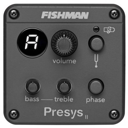 Электроакустическая гитара  - Фото №173921