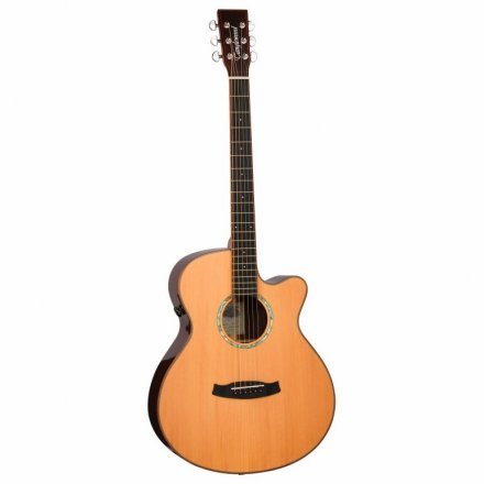 Электроакустическая гитара  - Фото №178614