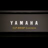 Цифровое пианино Yamaha CLP-665GP WH/E