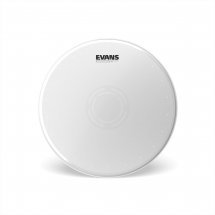 Evans 14&quot; Heavyweight Dry