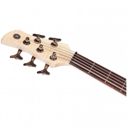 Бас-гитара  - Фото №170765