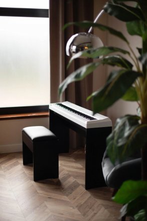 Клавишная стойка  - Фото №172409