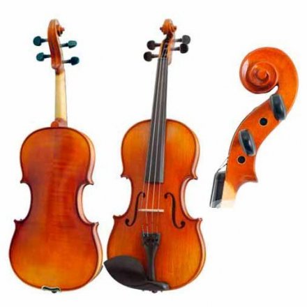 Скрипка  - Фото №47790