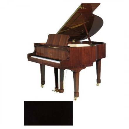 Акустический рояль Petroff PV-0801 - Фото №30506