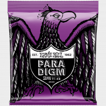 Ernie Ball P02020