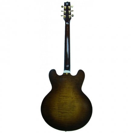 Полуакустическая электрогитара  - Фото №9190