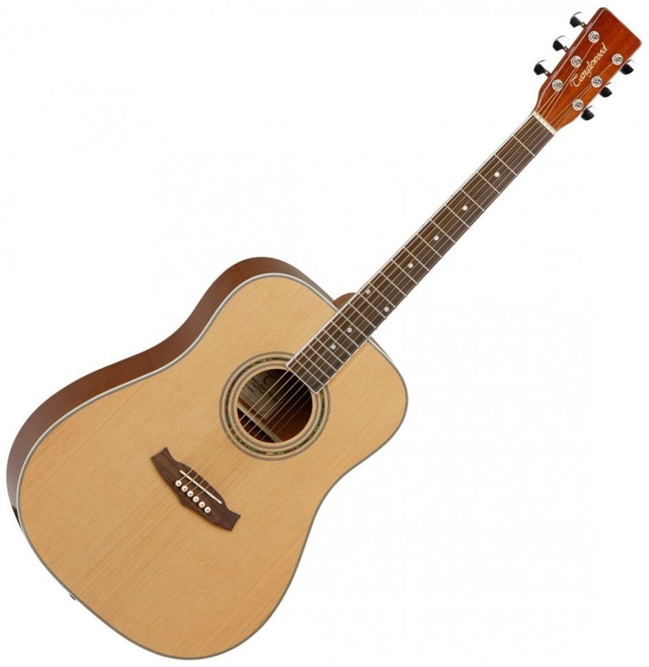 Акустическая гитара Tanglewood DBT DLX D