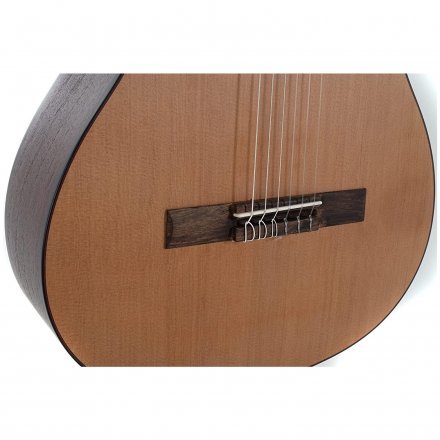 Класична гітара  - Фото №186183