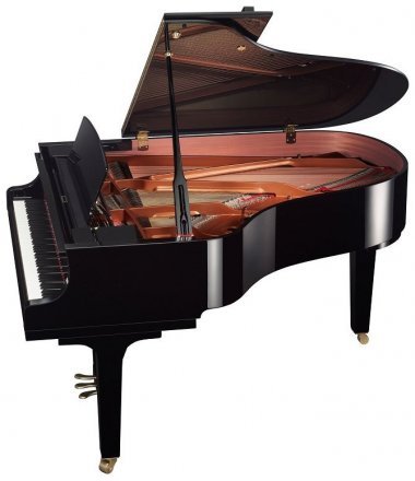 Акустический рояль Yamaha C3X PE - Фото №129638