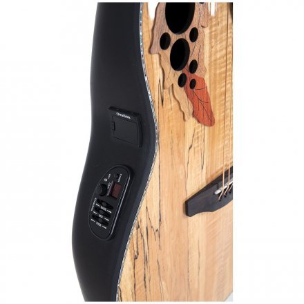 Электроакустическая гитара  - Фото №169290