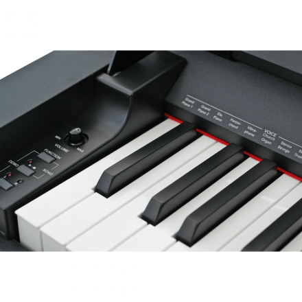 Цифровое пианино  - Фото №28699