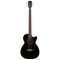 Fender CB-60SCE Black WN