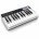 Миди-клавиатура IK Multimedia Irig Keys IO25