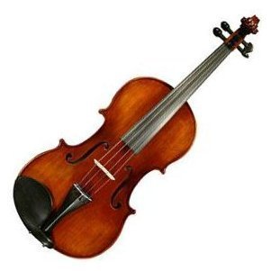 Альт скрипичный Gliga Viola 17&quot; Gama I - Фото №48463