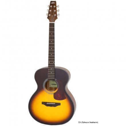 Акустическая гитара  - Фото №182207