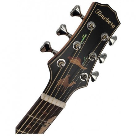 Акустическая гитара  - Фото №178653