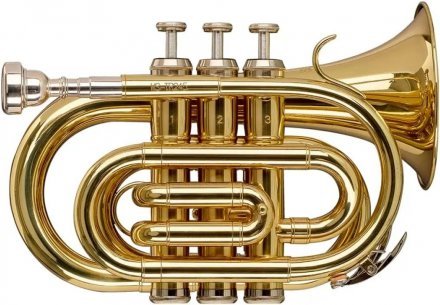 Музична труба  - Фото №179539