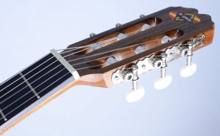 Классическая гитара  - Фото №3737