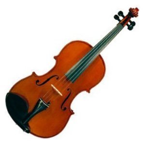 Альт скрипичный Gliga Viola 13" Gems I Альт скрипичный Gliga Viola 13" Gems I