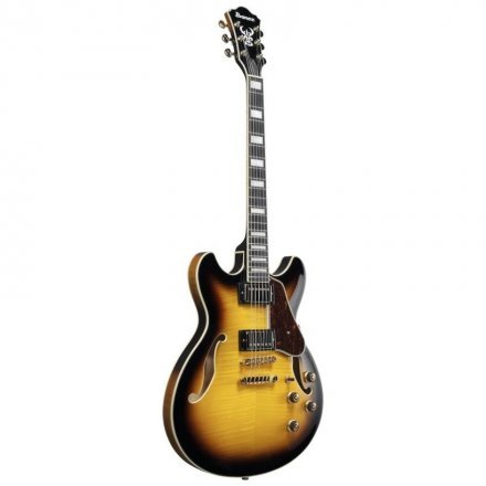 Полуакустическая электрогитара  - Фото №169692