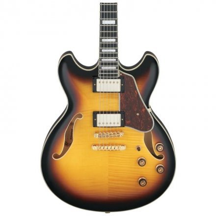 Полуакустическая электрогитара  - Фото №169693