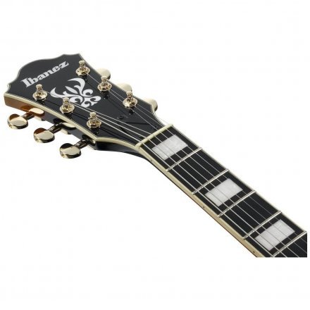 Полуакустическая электрогитара  - Фото №169697