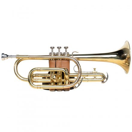 Догляд за духовими інструментами  - Фото №163522