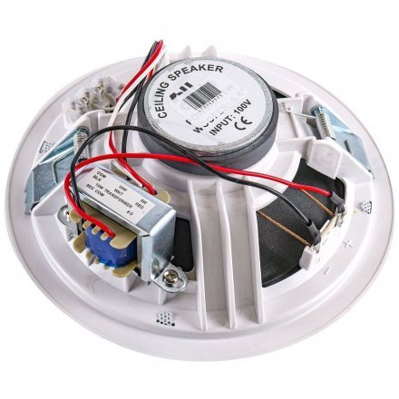 Потолочная акустическая система  - Фото №185181