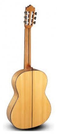 Классическая гитара Paco Castillo Model 215 F - Фото №4096