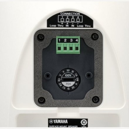 Настенная акустическая система  - Фото №104651