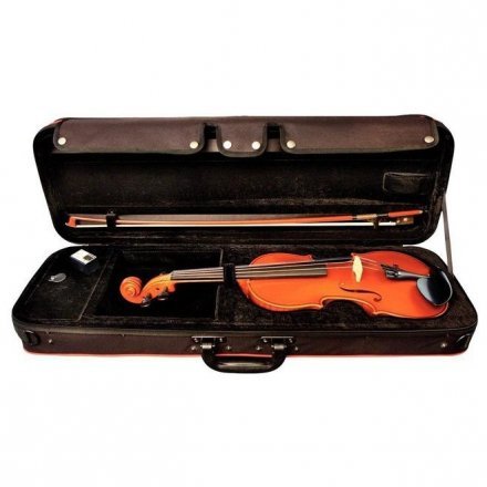 Скрипка  - Фото №169740