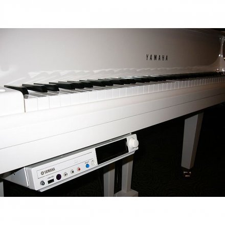 Цифровий рояль  - Фото №29949
