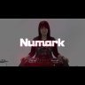 DJ контроллер Numark NVMKII