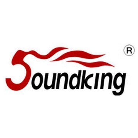 Soundking DNA010
