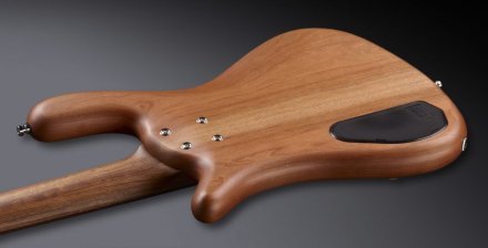 Бас-гитара Warwick Teambuilt Pro Series Streamer LX, 5-String (Natural Transparent Satin) - Фото №126795