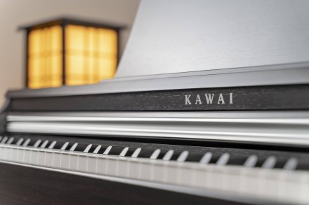 Цифровое пианино Kawai KDP110 R - Фото №129251