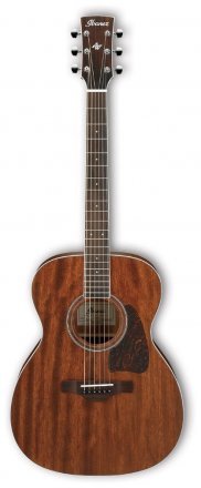 Акустична гітара Ibanez AC340 OPN - Фото №2165