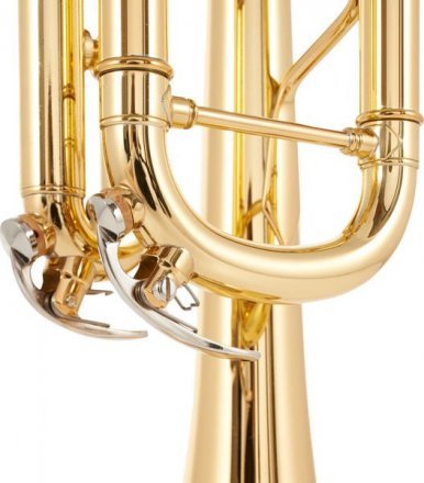 Музична труба  - Фото №157176