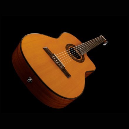 Классическая гитара со звукоснимателем Takamine GC1CE NAT - Фото №102484