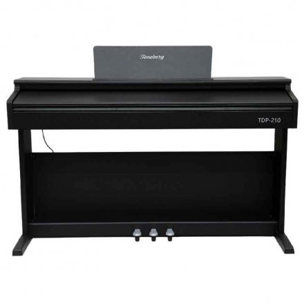 Цифрове піаніно  - Фото №179603