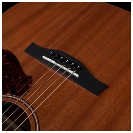 Электроакустическая гитара  - Фото №168012