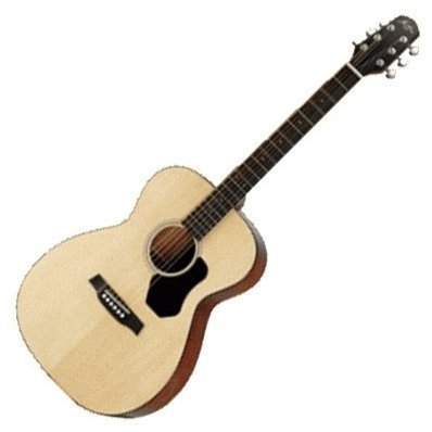 Акустическая гитара Walden HO220/B - Фото №1590