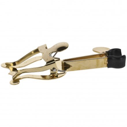 Лира  - Фото №184497