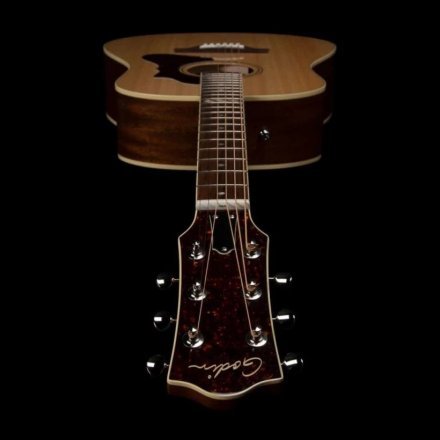 Електроакустична гітара  - Фото №167867