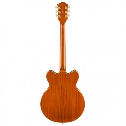 Полуакустическая электрогитара  - Фото №171075