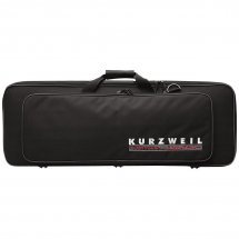  Kurzweil KB61